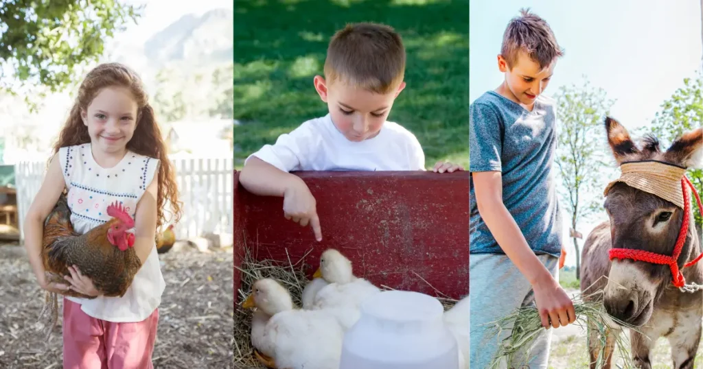 grandchildren at a petting zoo collage