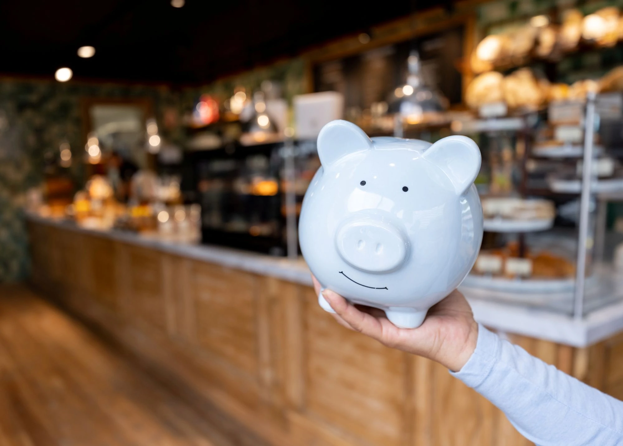 piggy bank 