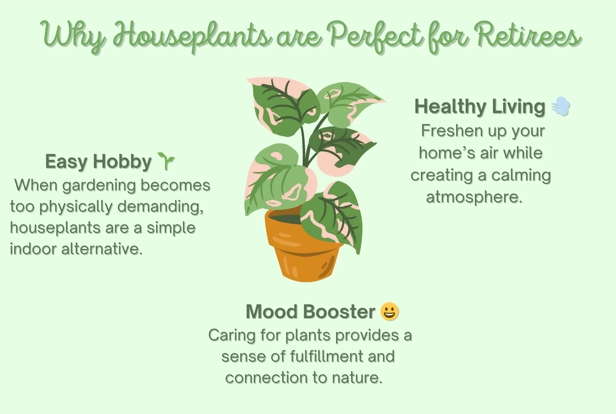 why houseplants are perfect for retirees original infographic by senior resource