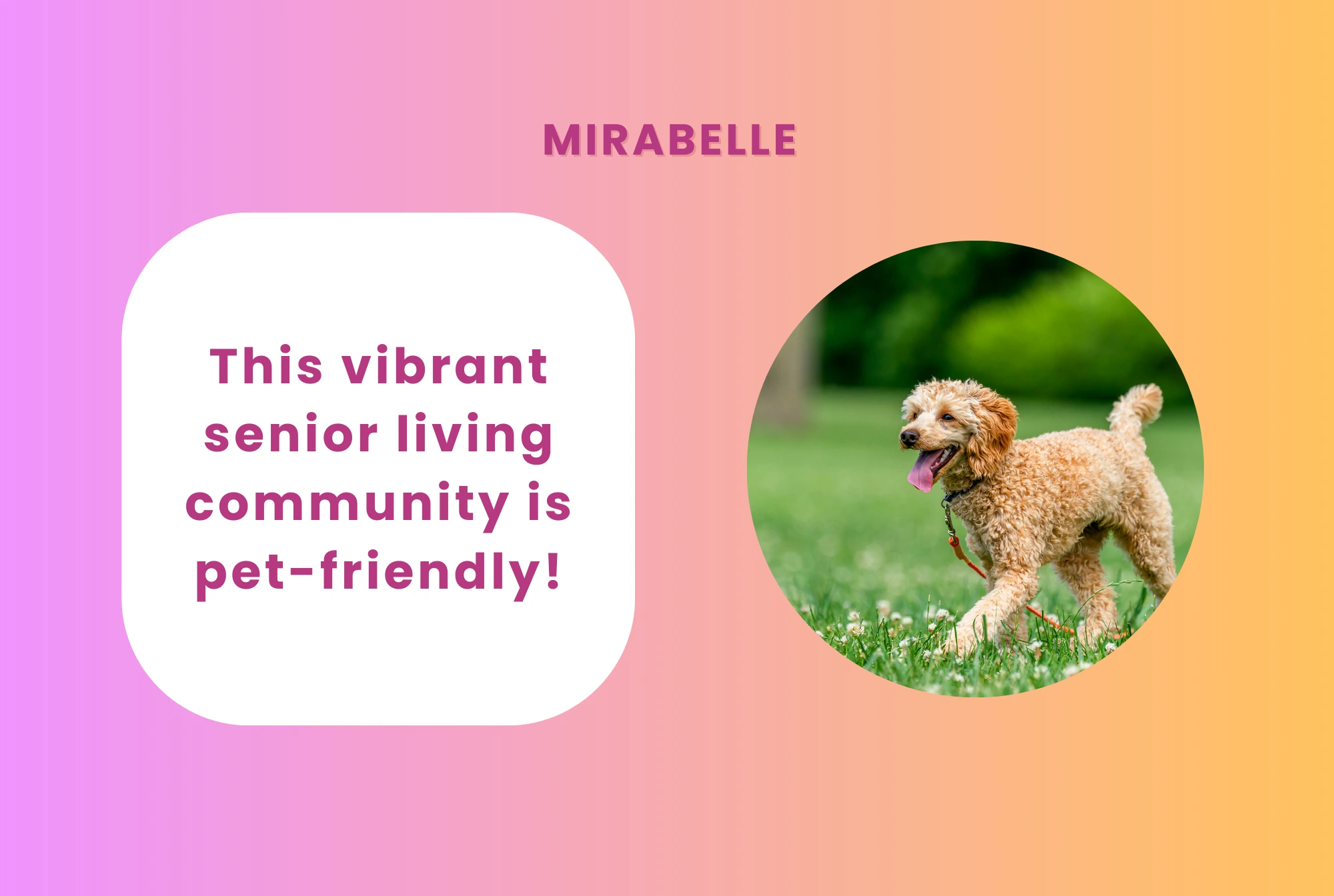 mirabelle senior living community near miami florida