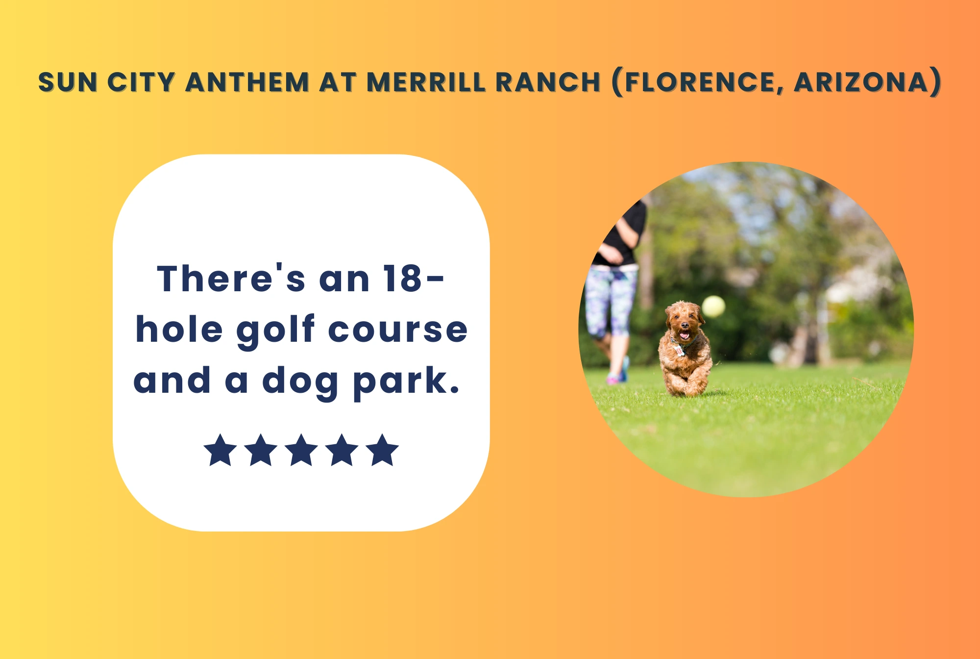 sun city anthem florence arizona best retirement communities near phoenix