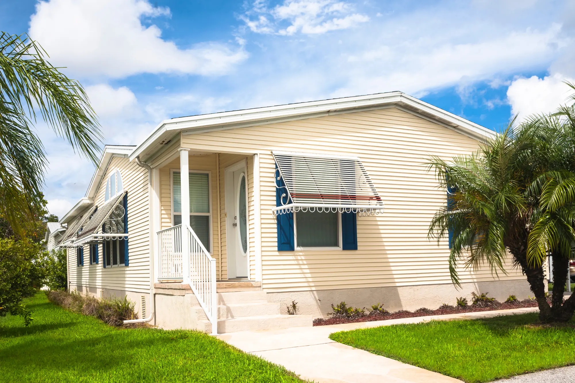 mobile home surrounding palm trees