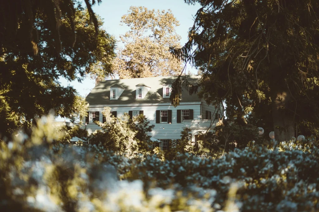 old home in forest