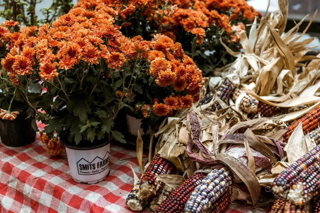 fall picnic
