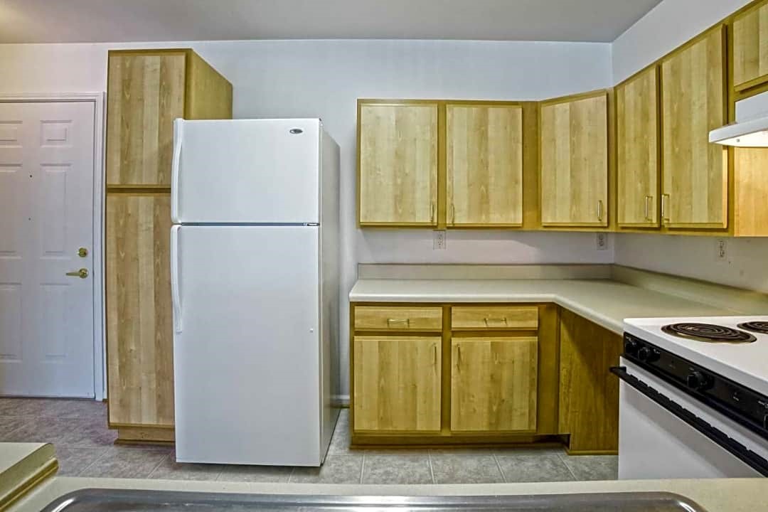Picture11