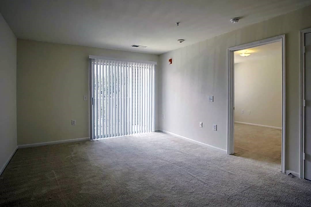 Picture14
