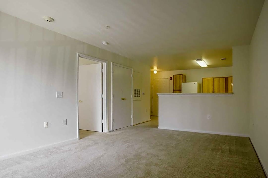 Picture15