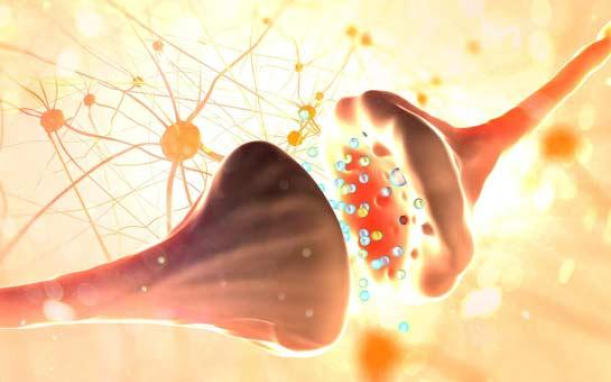 Image Credit: Kailo, how your body communicates pain