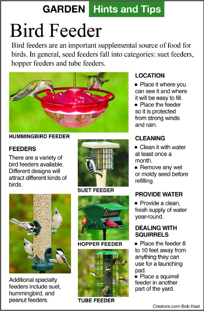 fall birdfeeder and bulbs infographic from Jeff Rugg column A Greener View