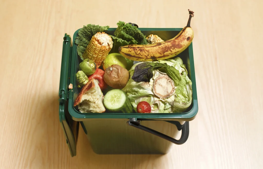 food waste in an open garbage or recycle can, produce
