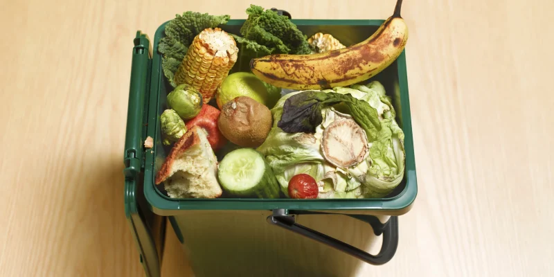 food waste in an open garbage or recycle can, produce