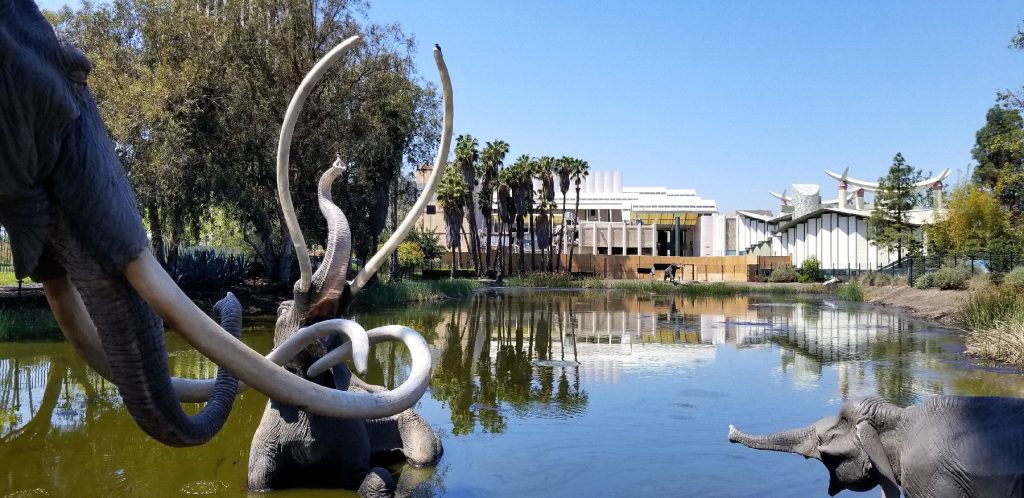 La Brea Tar Pits looks toward the Los Angeles County Museum of Art and the Academy Museum of Motion Pictures. Photo courtesy of Jim Farber.