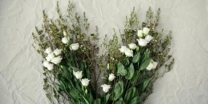 How to Plan a Green Funeral