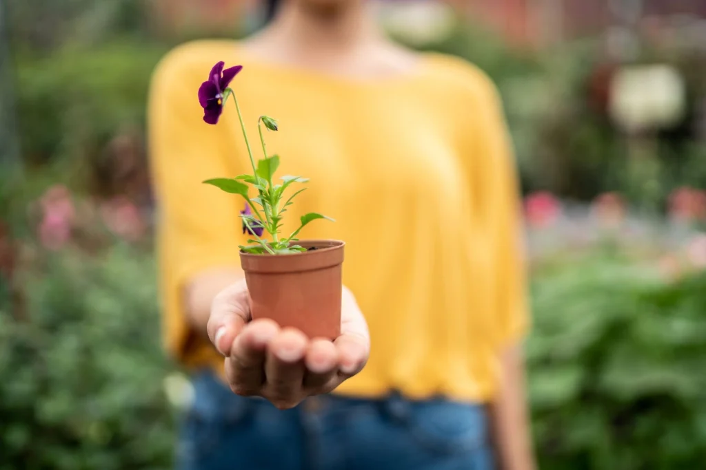 hand holding out plant