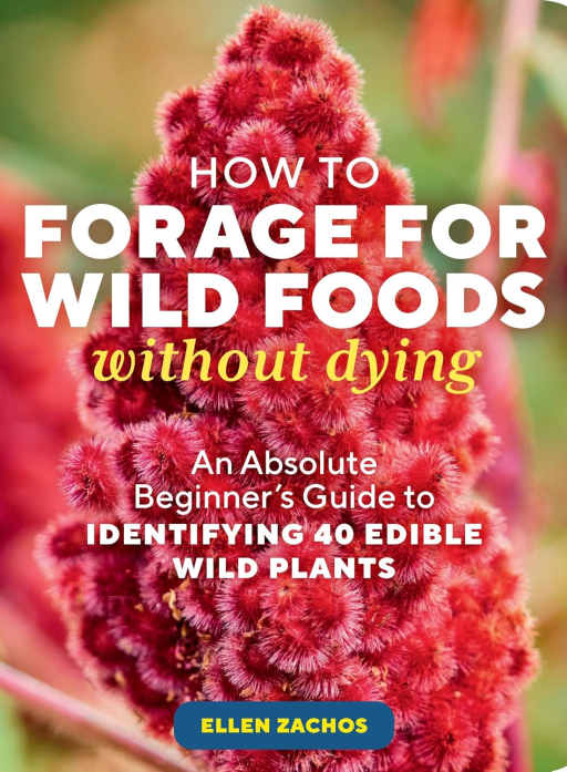 How to Forage for Wild Foods Without Dying