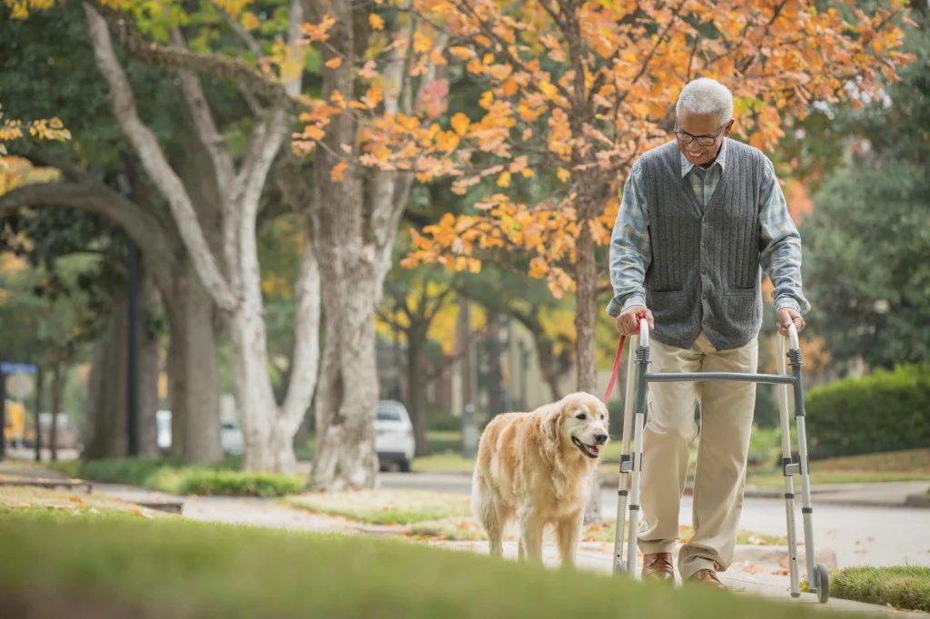 a man walking his dog with a walker
