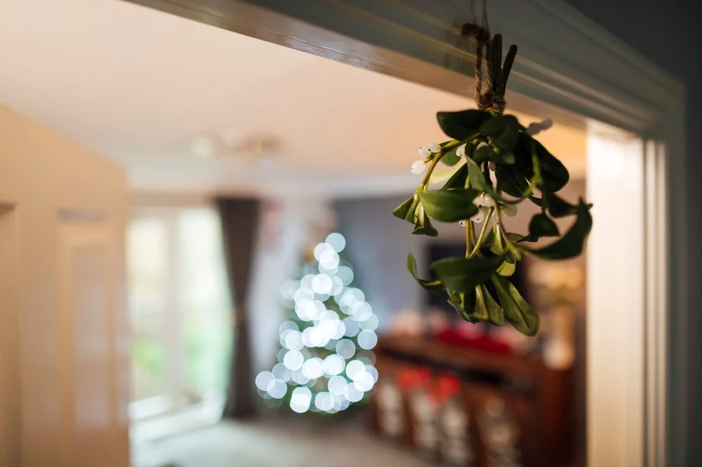mistletoe in doorway
