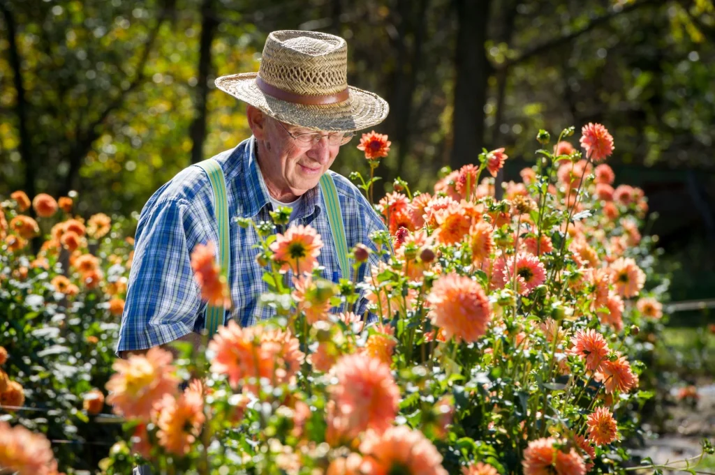 man in a straw hat gardening flowers