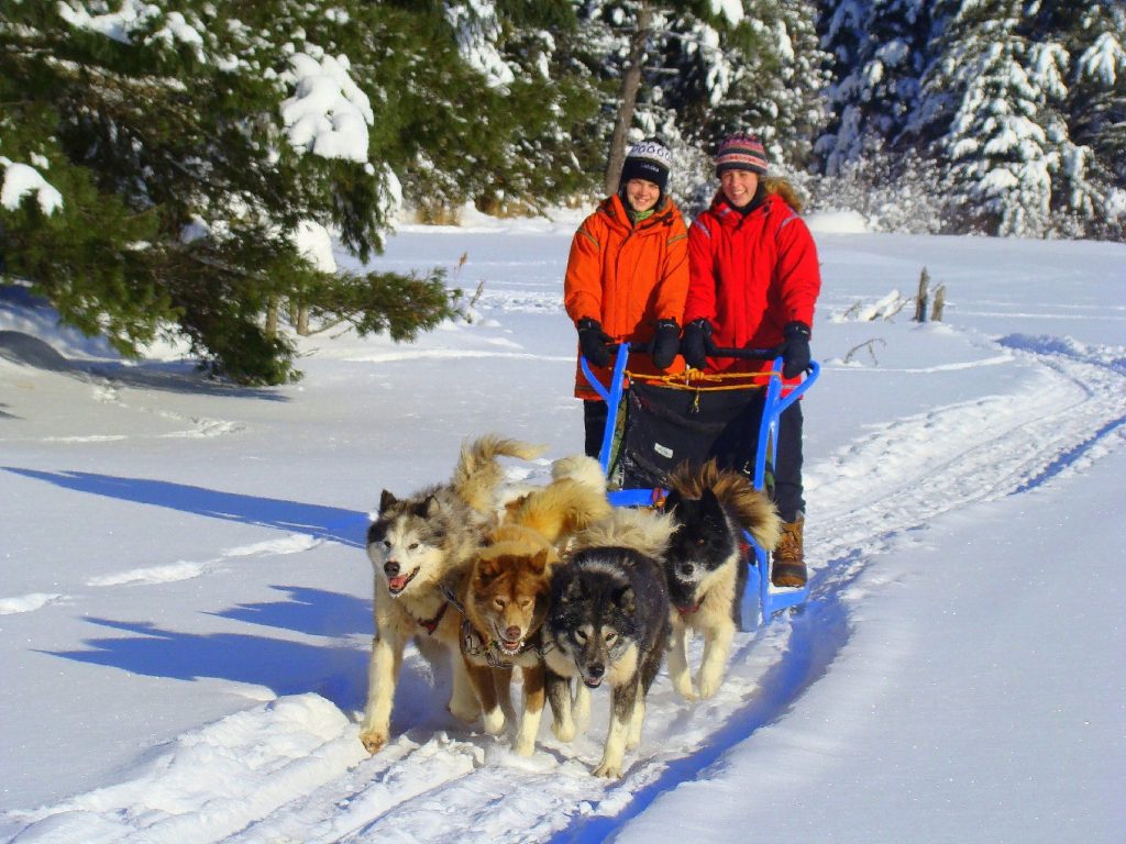 A mother and daughter enjoy dogsledding in Minnesota on a Wintergreen Dogsled Lodge trip. Photo courtesy of Wintergreen Dogsled Lodge.