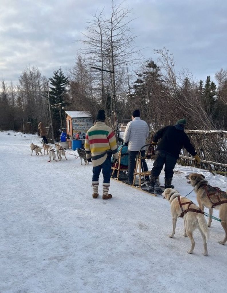 Dave Daley oversees a group of guests as they set off on dog sleds at his Wapusk Adventures in Churchill, Manitoba, Canada. Photo courtesy of Lesley Frederikson.