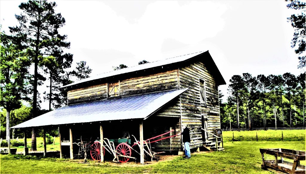 A visitor looks at equipment on the Freewoods Farm in Myrtle Beach, South Carolina, the first farm established by formerly enslaved people after the Civil War. Photo courtesy of Victor Block.