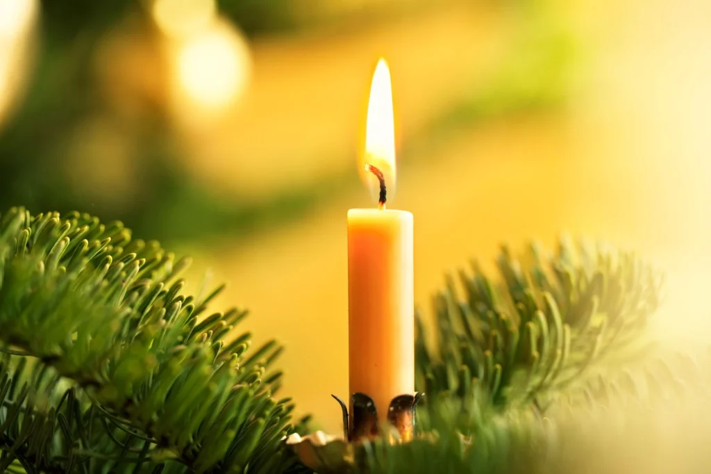 candle on tree branch
