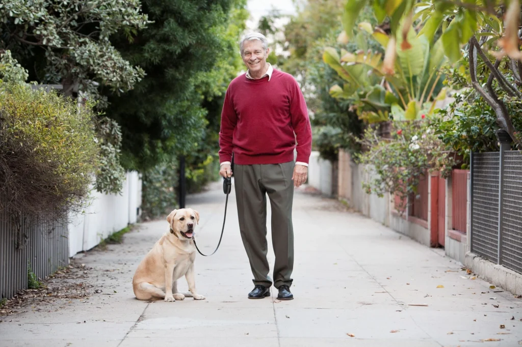 older man walking his dog