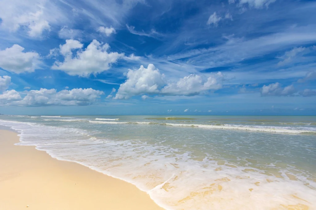 beach in Naples Florida