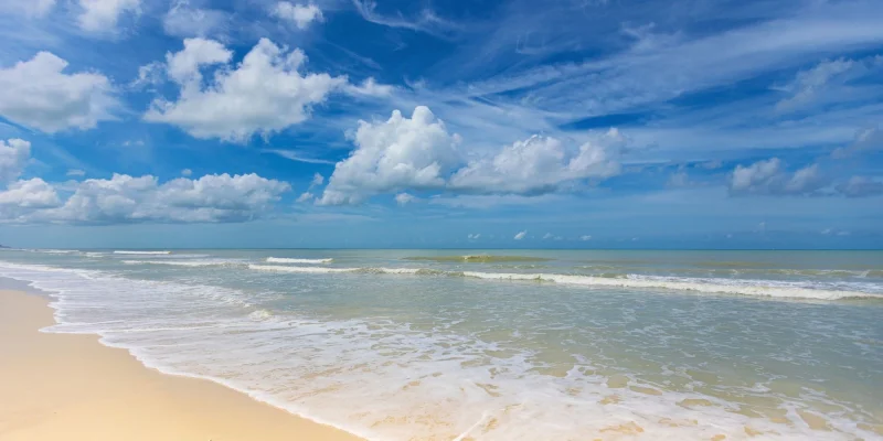 beach in Naples Florida