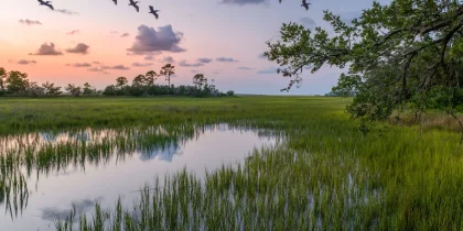 Boomer’s Guide to Visiting Beaufort, SC & Savannah, GA in Only 5 Days