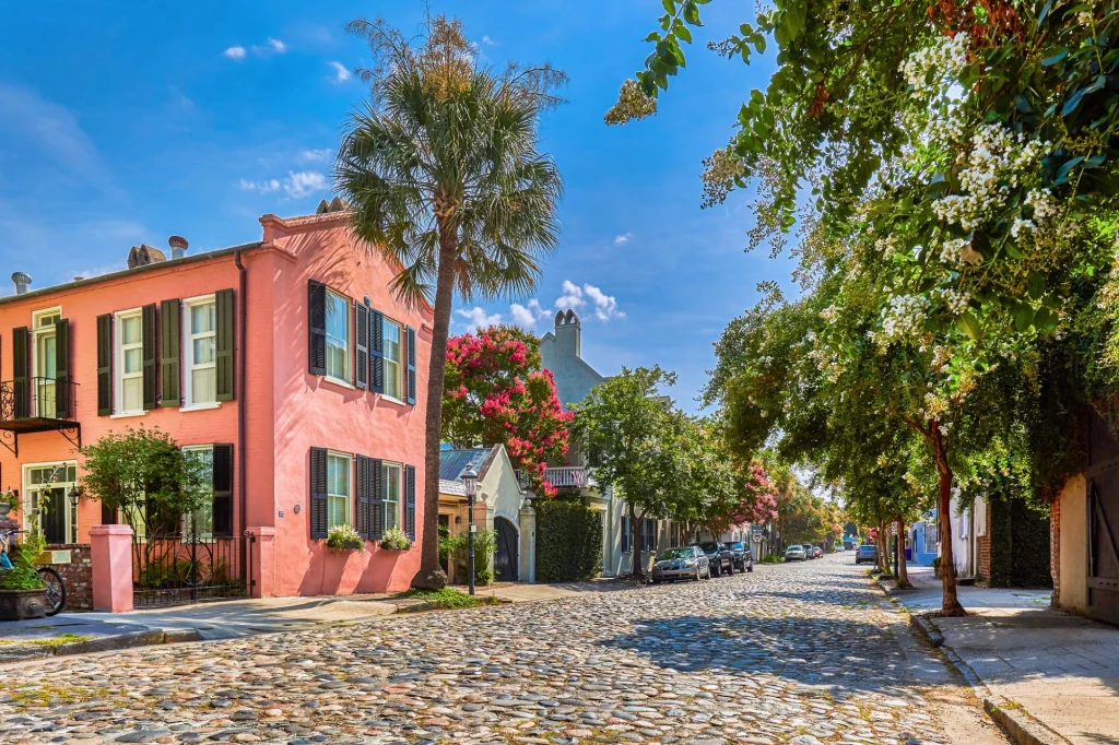 cobblestone street - charleston, south carolina