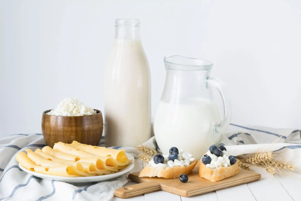 dairy products