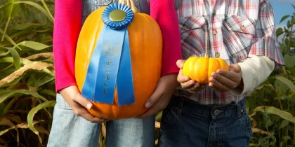 All-America Selections Vegetable Winners for 2025