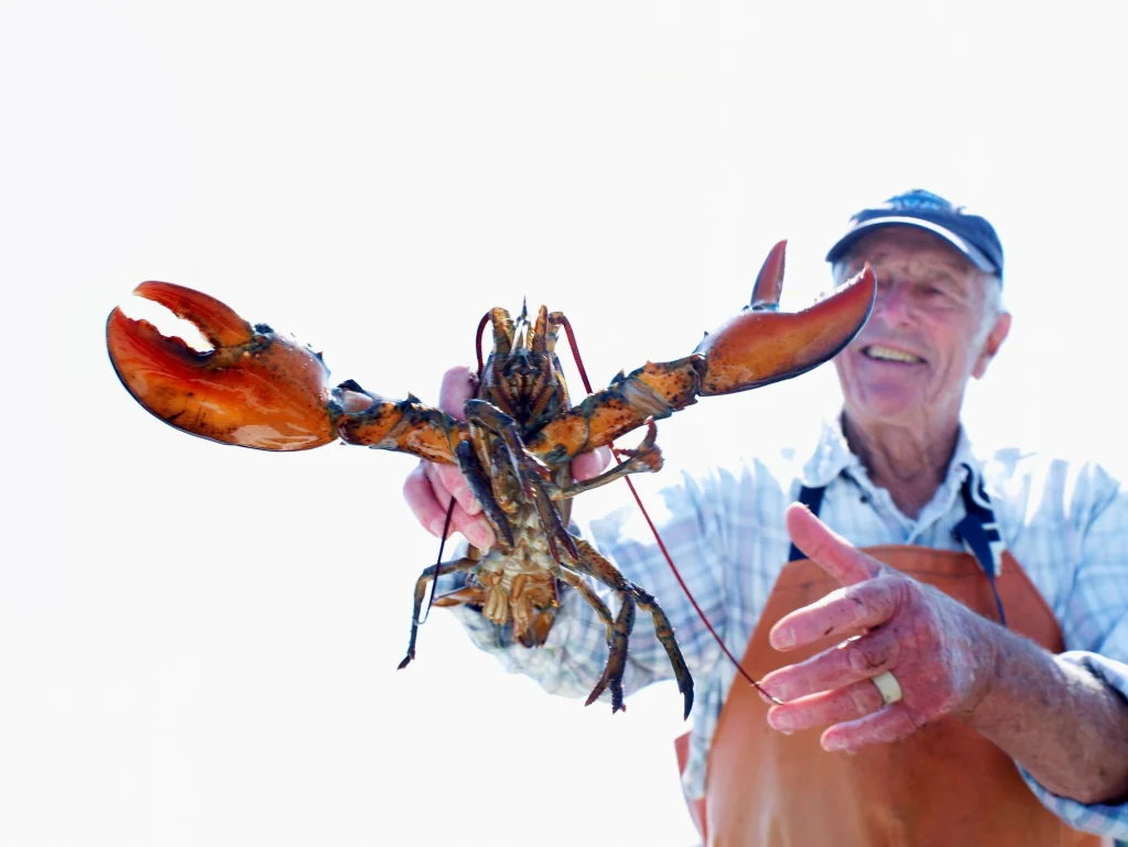 man holding a lobster with claws splayed