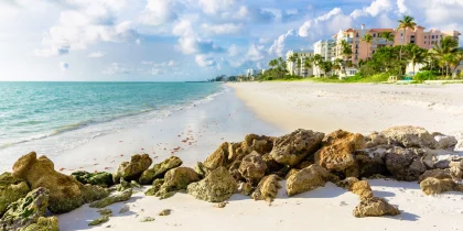 Nature Hits a High Note in Naples, Florida