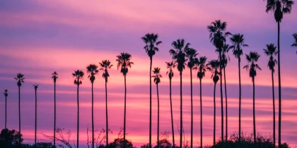Adult Day Services and Respite Care in Los Angeles: Where to Start