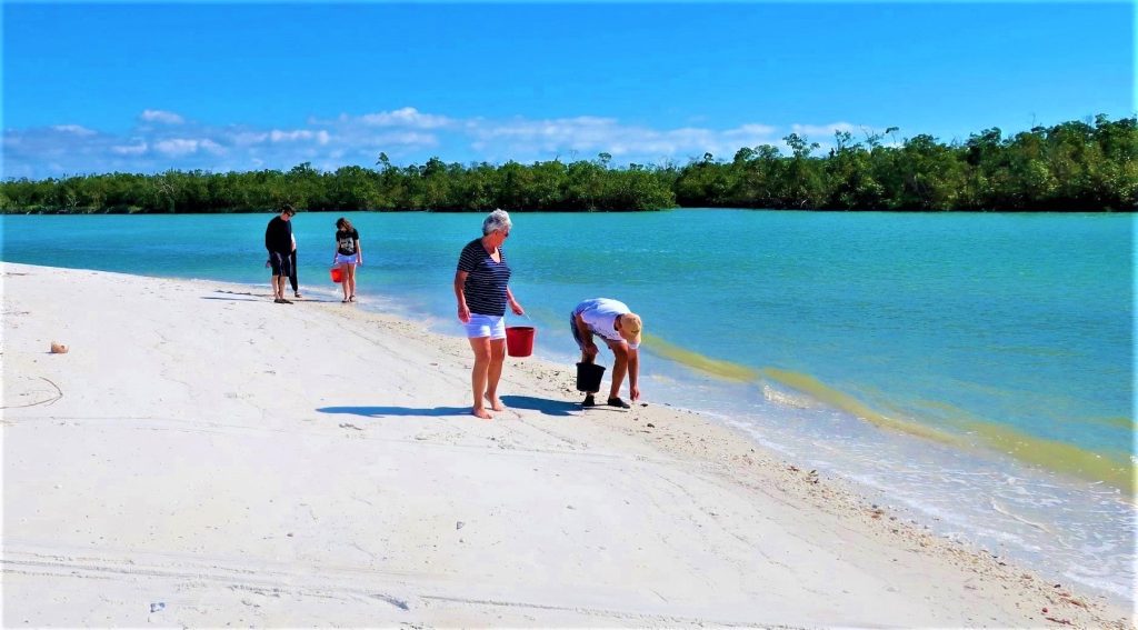 The beaches around Naples, Florida, are a shell-hunter's paradise. Photo courtesy of Victor Block.