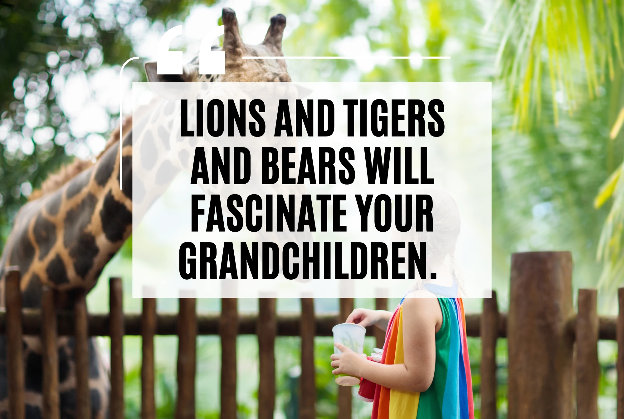 Take Them to a Zoo or Aquarium