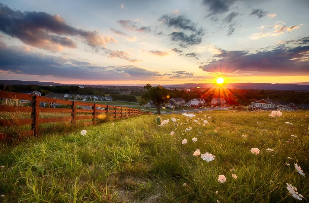 blacksburg, virginia - sunshine and flowers