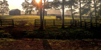 Where are the Best Places in Kentucky for Retirement?