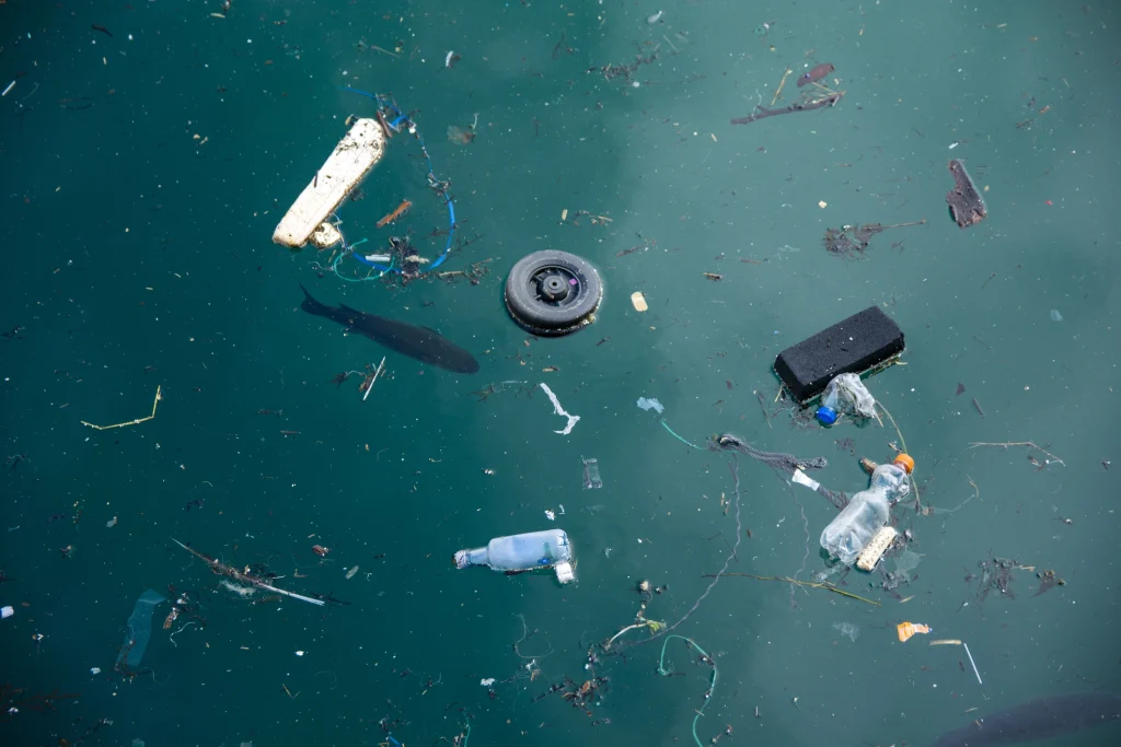 Fish and plastic pollution in sea. Microplastics contaminate seafood