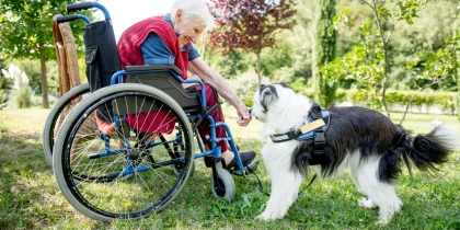 Service Dogs Can Help Seniors with Disabilities
