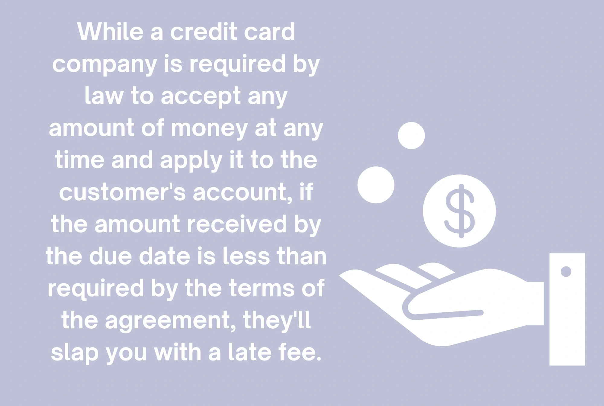 late credit card company infographic by senior resource
